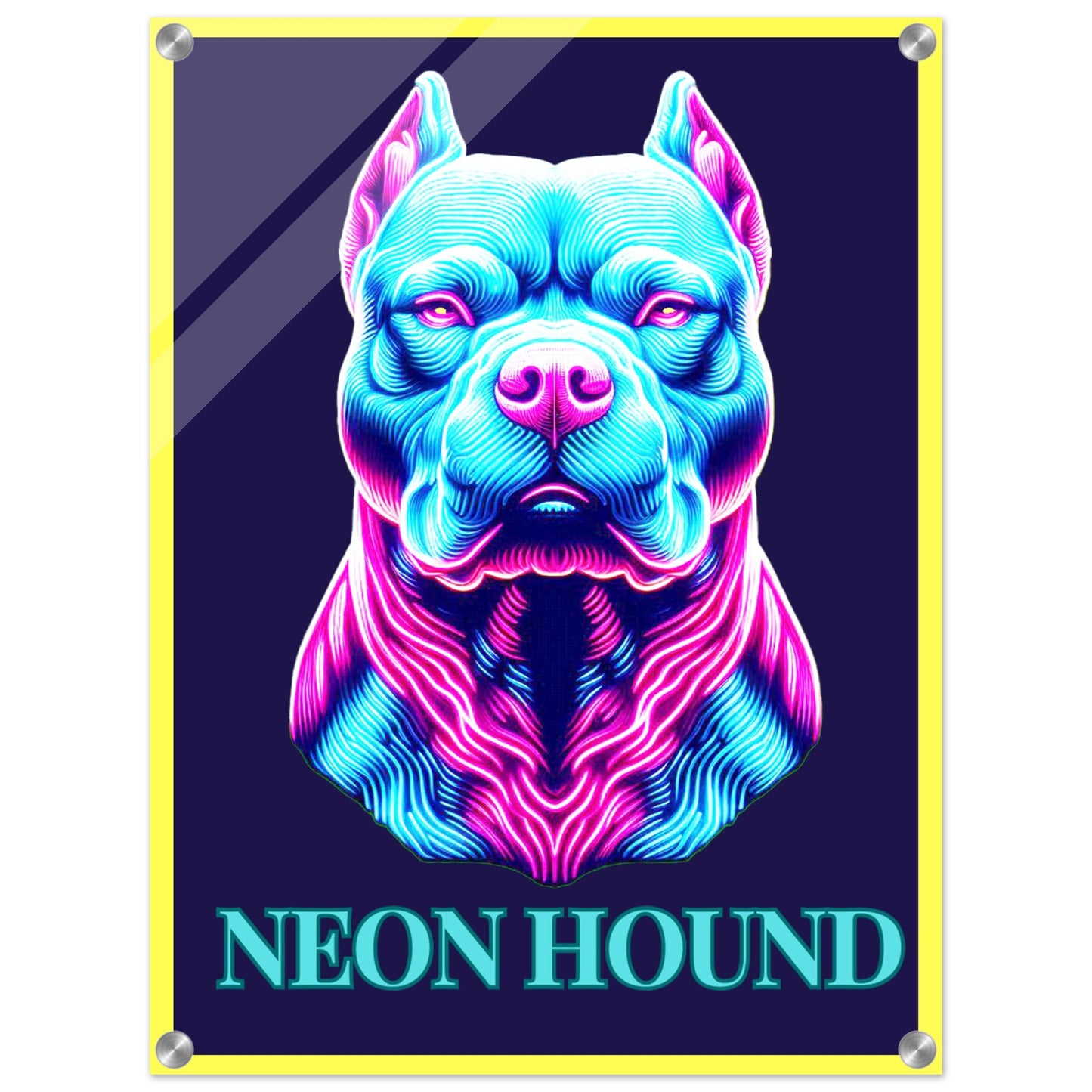 1d2216b3-6fa9-41d5-ae8f-625ddf78a026